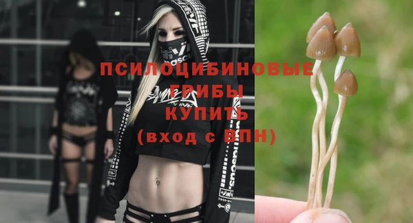 кокс Михайлов