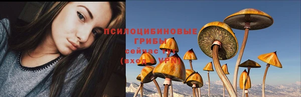 дживик Михайловка