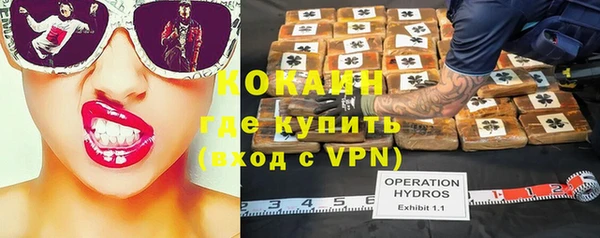 кокс Михайлов
